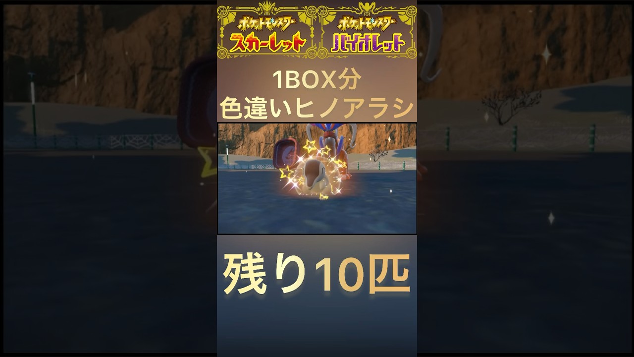 【ポケモンSV】色違いヒノアラシ1BOX分チャレンジ20匹目#shorts