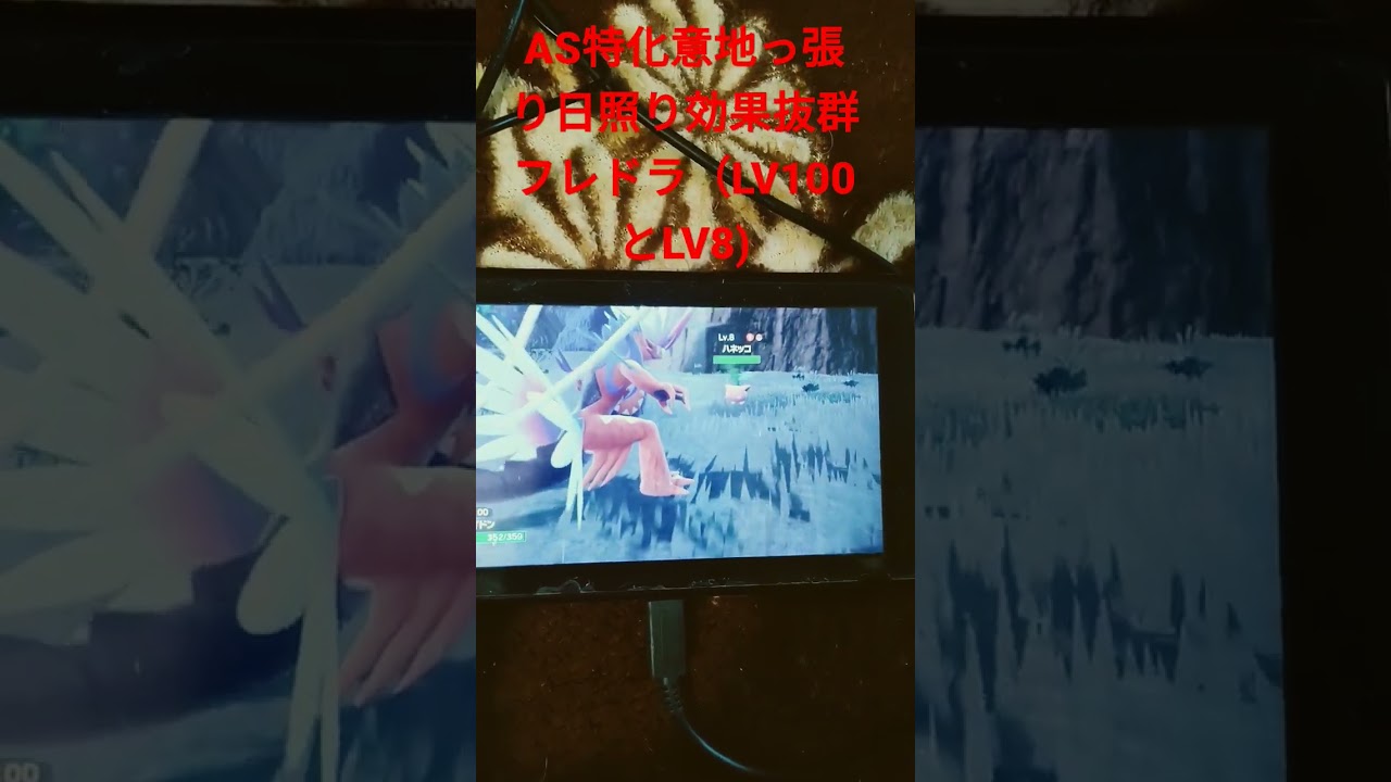 何体のハネッコが飛んだか！！