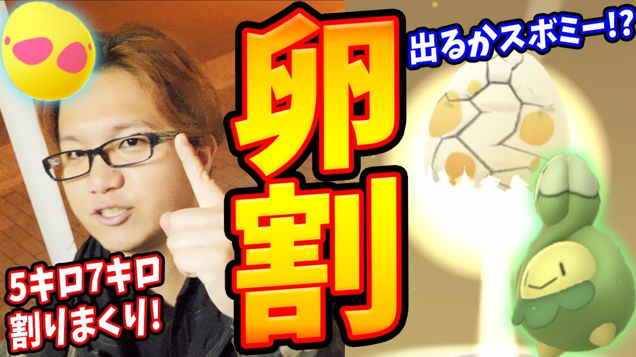 スボミー追加&7たま中身変更!!連続たまご割りで新ベイビィを狙え!【ポケモンGO】