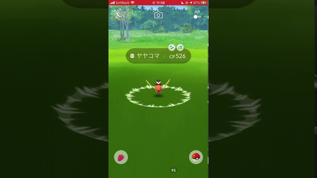 【ポケモンGO】 No.661 ヤヤコマ（色違い）ゲットチャレンジ/Pokémon GO No.661 Fletchling (shiny) Get Challenge #shorts