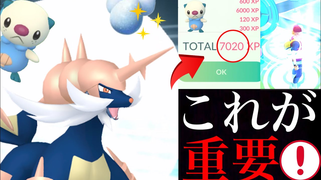 【ポケモンGO】これで効率アップ！〇〇で狙うべき！？ミジュマルコミュデイで経験値３倍でレベルアップのチャンス・・！【Oshawott・コミュニティデイ・ダイケンキ・シェルブレード】