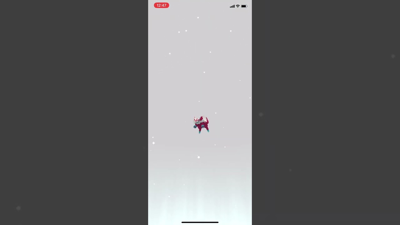 【ポケGO】ジグザグマ、マッスグマ、タチフサグマのガラルのすがたに出会う ポケモンGO