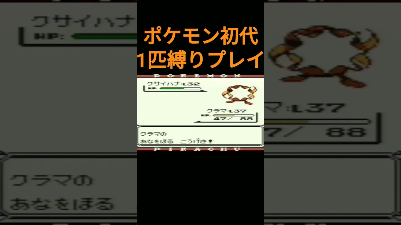 【ポケモン初代】ポケモン初代1匹縛りプレイ!!ロコンver【縛りプレイ】#ポケモン初代 #縛りプレイ #ロコン #キュウコン #ゲーム実況