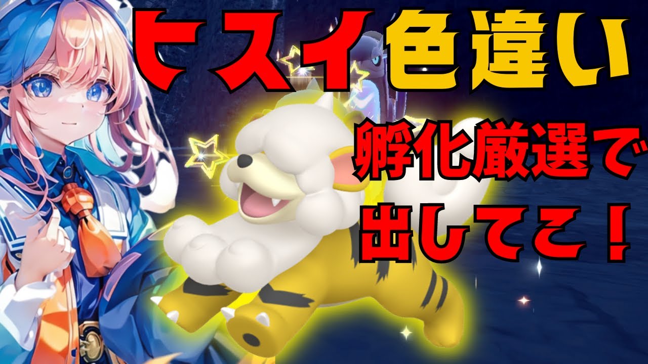 【ポケモンSV】色違いヒスイガーディのお尻が可愛い！孵化厳選でお迎えしよう！