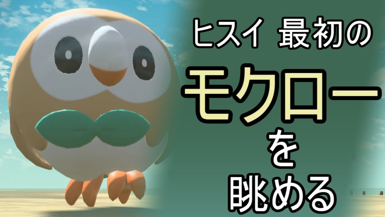 ヒスイ最初のモクローを眺める【ポケモンレジェンズアルセウス】