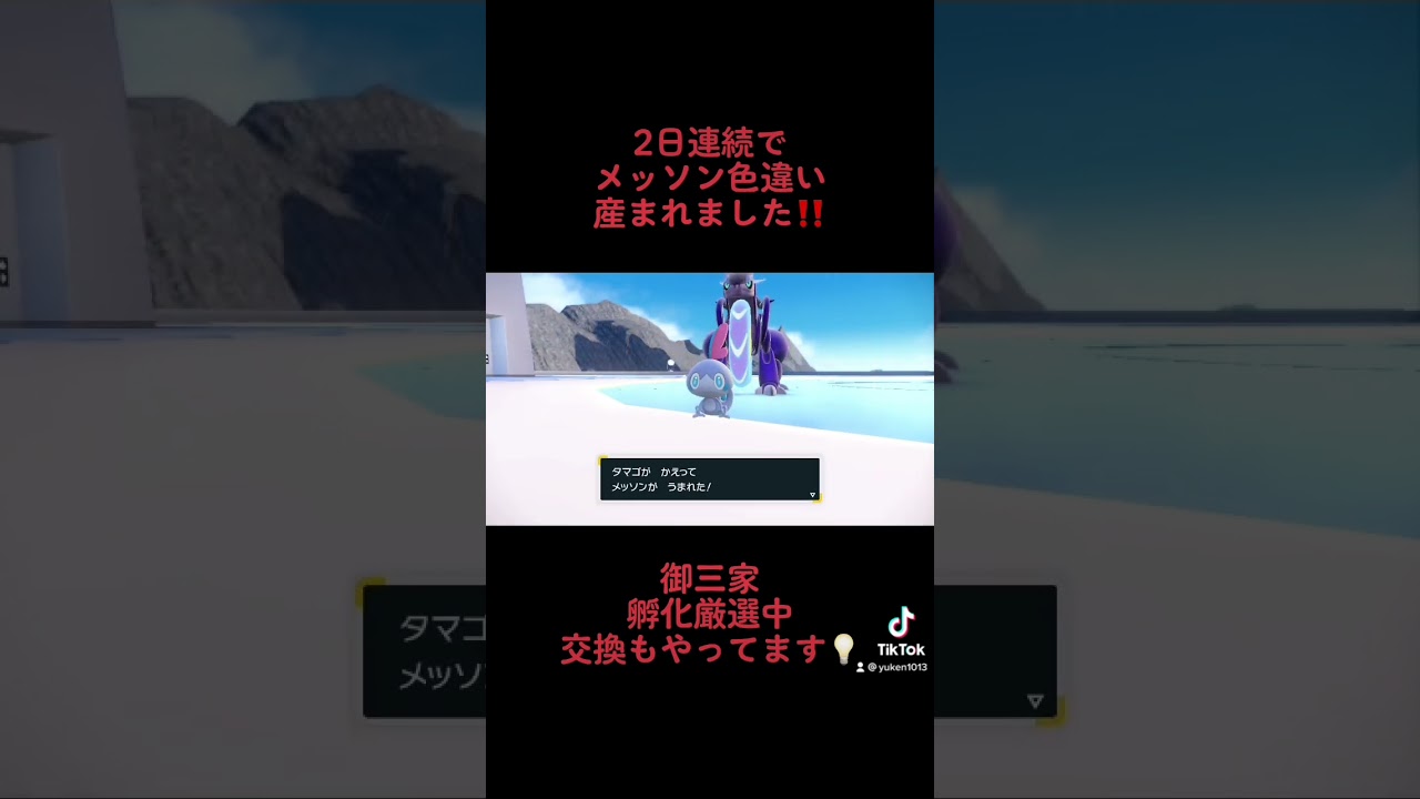 ポケモンsv メッソン2日連続で色違い産まれました‼︎