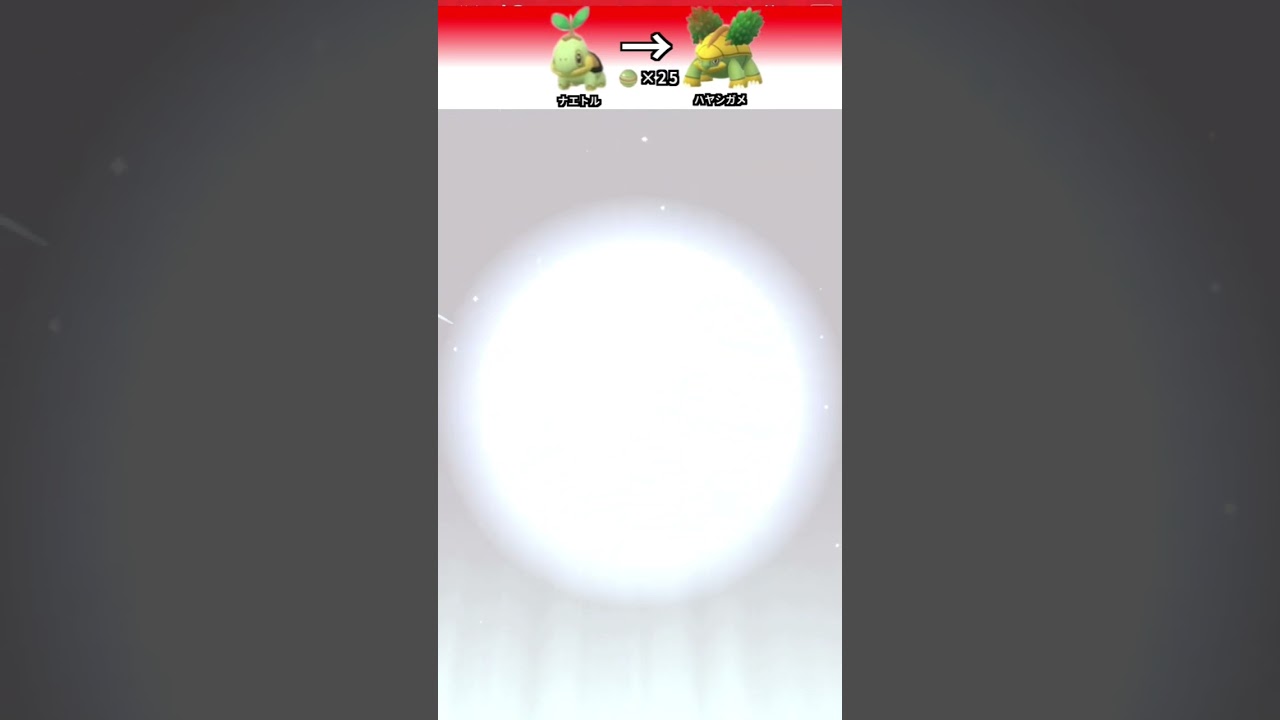 ポケモンGO 「ナエトルの進化」　＃ポケモンGO ＃ポケモン
