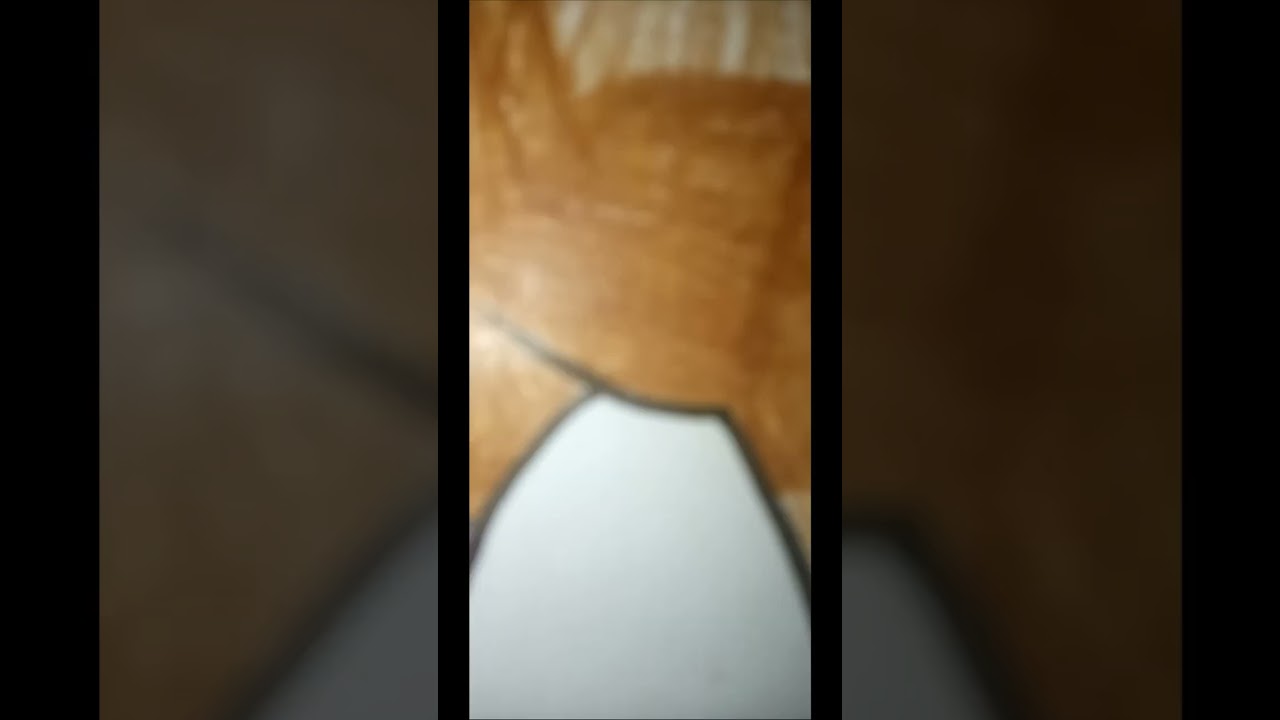 Pokemon Fusion Number 29 (Zangoose, Bibarel) #shorts #pokemon #pokemonfusion #Zangoose #Bibarel