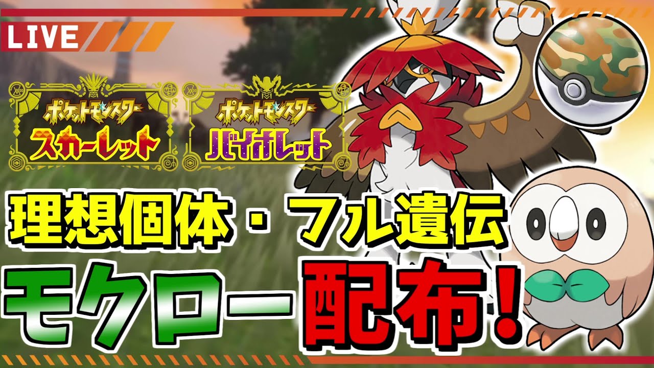 【ポケモンSV】在庫限り！C抜け5V理想個体のみ！フル遺伝夢サファリボールモクロー配布会！