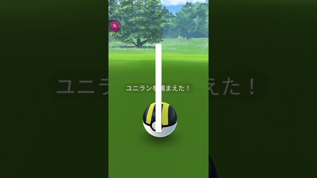 ＃shorts◇野生のユニラン＃360