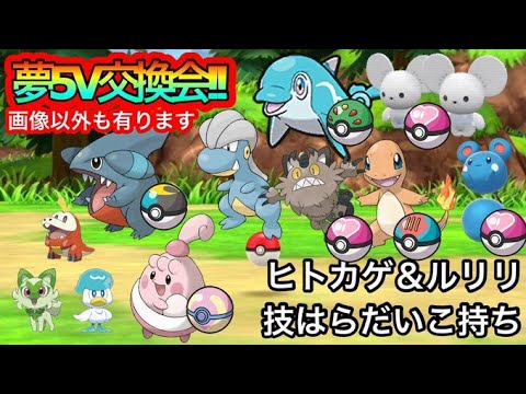 【ポケモンSV】５V夢特性配布会‼今回はヤヤコマがおすすめ‼夢特性集め中