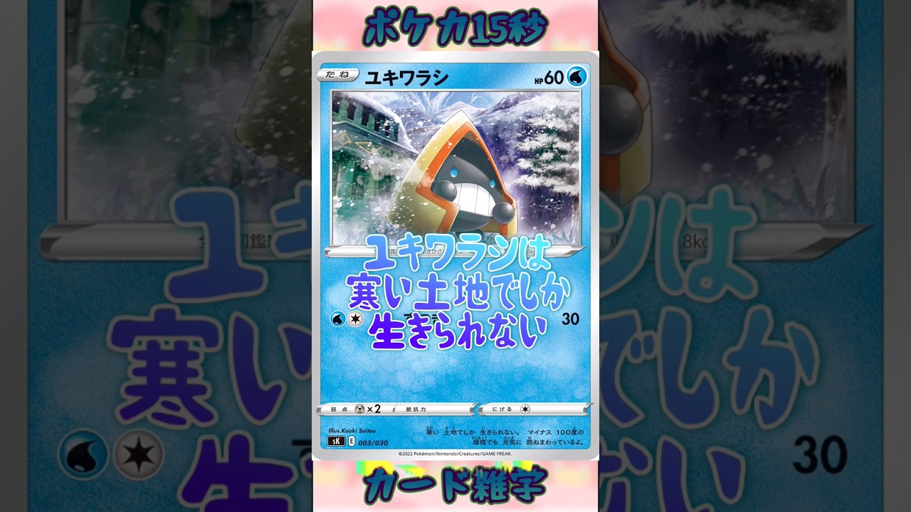 [ポケモンカード]ポケカ15秒雑学‼️ユキワラシ‼️#pokemon #ポケモンカード #shorts