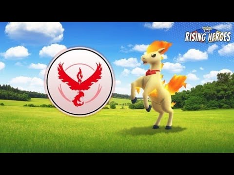 【ポケモンGO】ポニータ開封します！バトルも少しだけ！