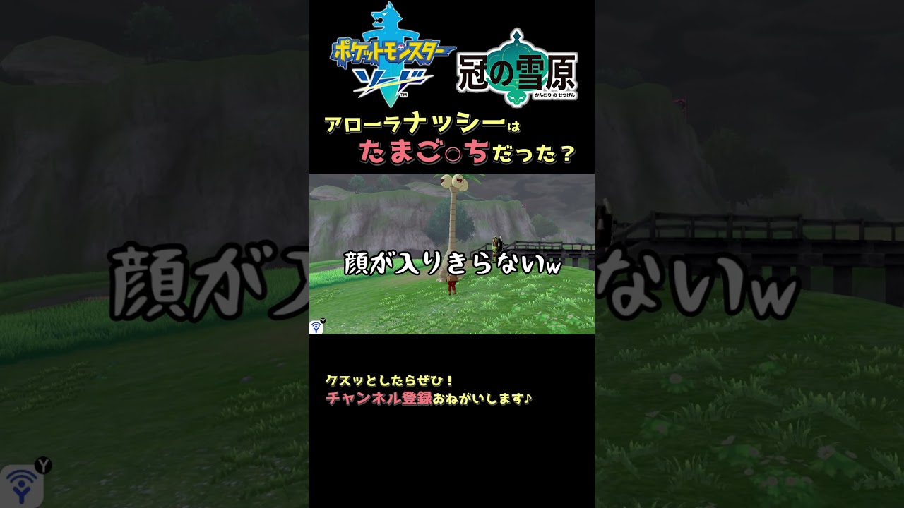 アローラナッシーの尻尾にたまご○ちがいる！？【鎧の孤島・冠の雪原】 #Shorts