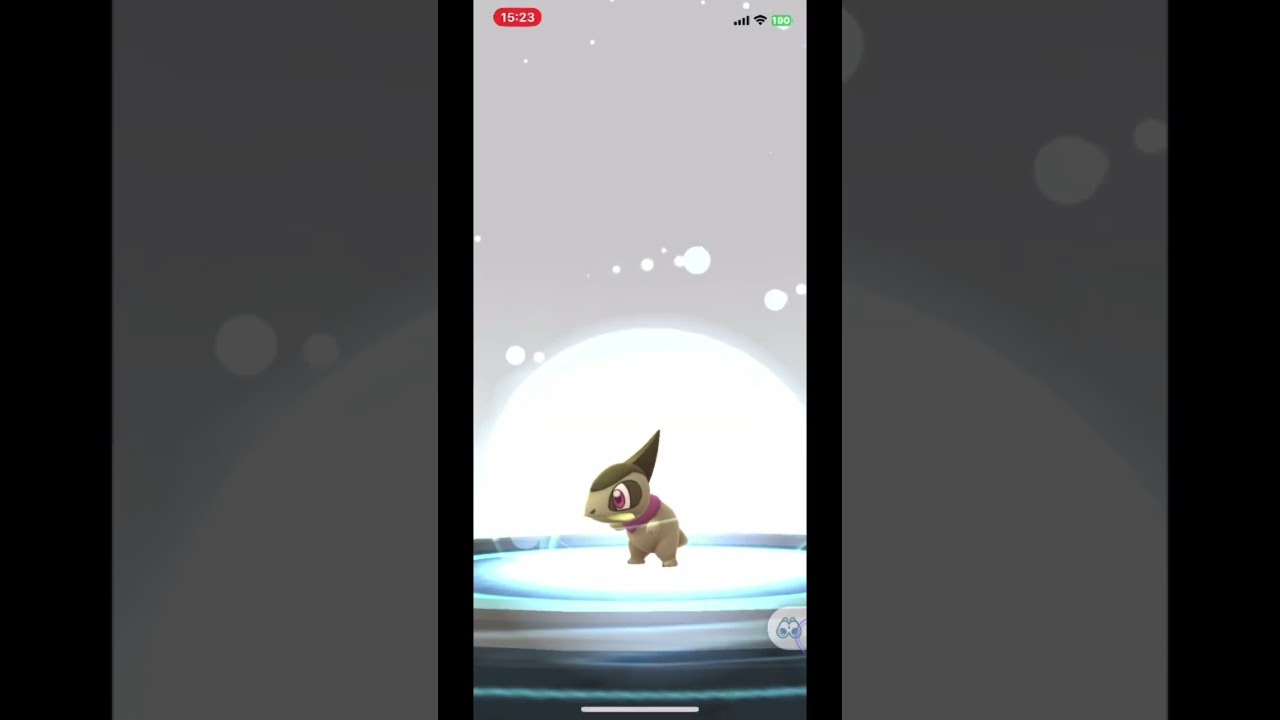 【色違いキバゴ→オノンド→オノノクス】shorts #shiny pokemon #shiny #pokemongo #色違いポケモン　#キバゴ　＃オノンド　#オノノクス　#ポケモンgo #ポケモン