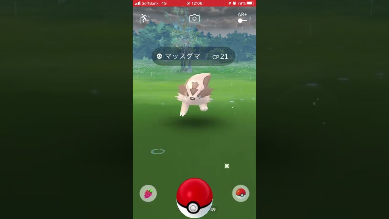 ポケモンGO マッスグマ　Pokémon GO