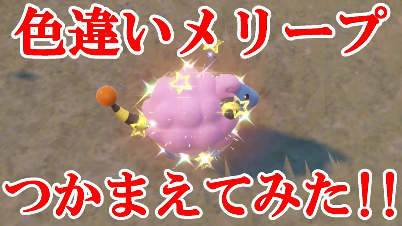 【ポケモンSV】色違いメリープつかまえてみた！！