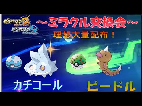 【ポケモンUSUM】初見さん歓迎！カチコール&ビードルミラクル交換会【完全理想ミラクル交換会】