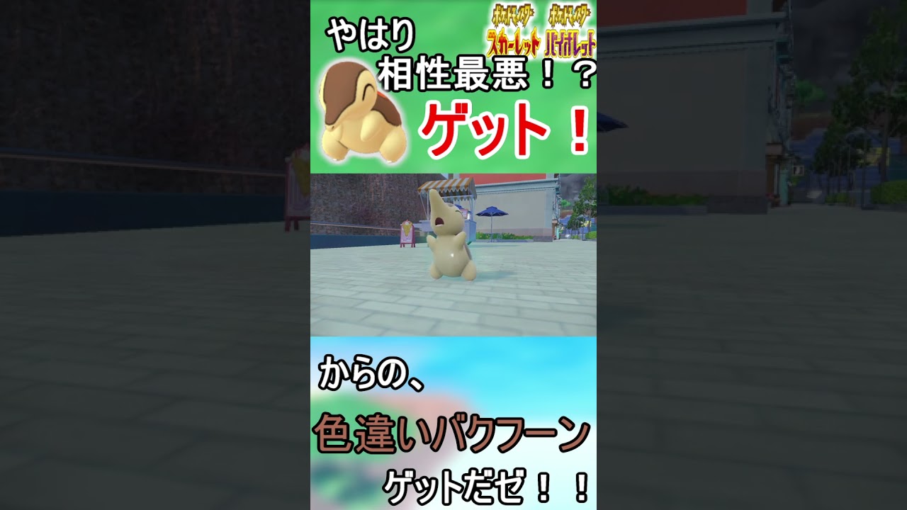 やはり炎タイプ御三家とは相性最悪！？　色違いヒノアラシゲット！からの、色違いバクフーンゲットだゼ！！　＃shorts