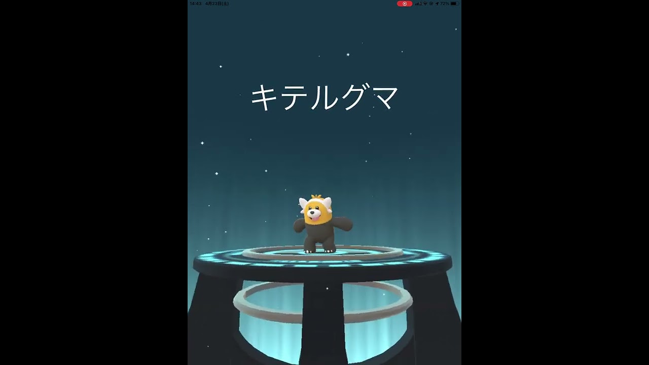 色違いのヌイコグマをキテルグマへ…増田準也くんが失踪した