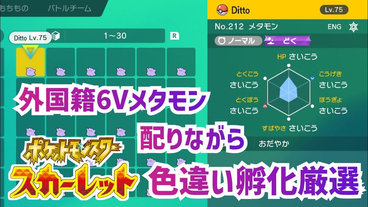 【ポケモンSV】外国籍6Vメタモン交換しながら孵化厳選♪～初見様大歓迎～