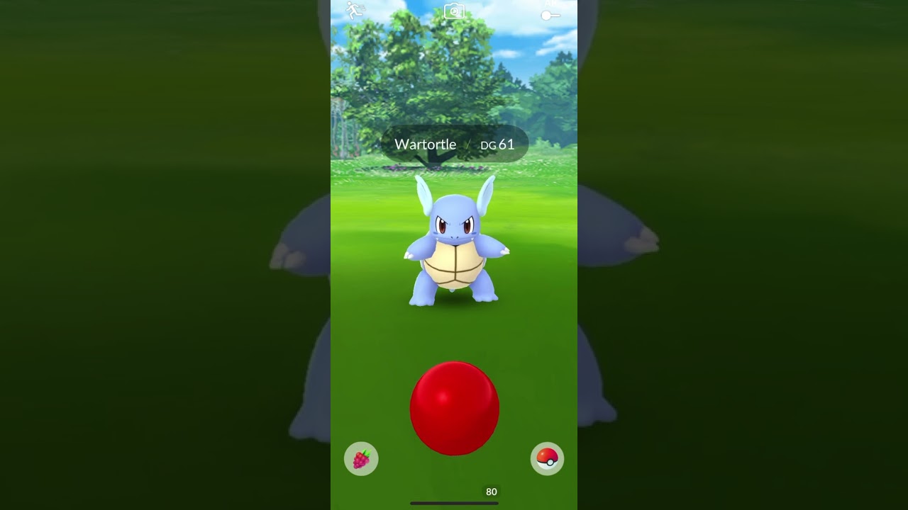 Polemon go #wartortle #pokemon #pokemongo
