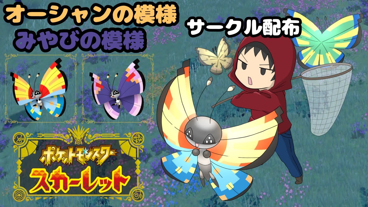 【ポケモンSV】ビビヨンサークル配布会【オーシャン・みやびの模様】【Ocean・Elegant vivillon】