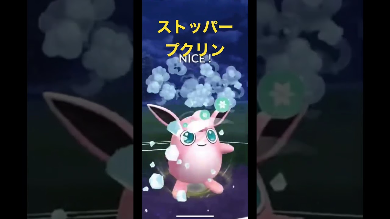 ストッパープクリン