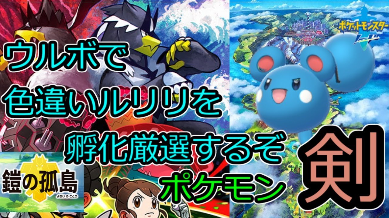 【孵化色厳選】ウルボで色違いのルリリを厳選するぞ　その3【ポケモン ソード】