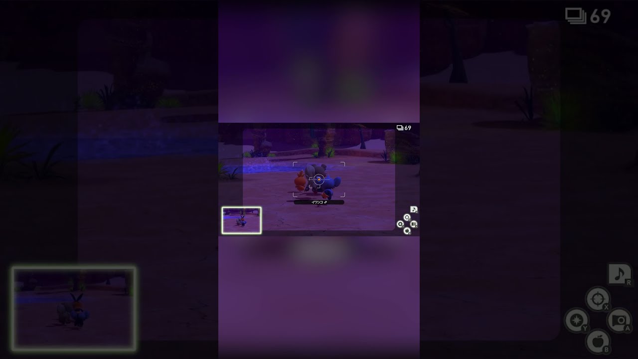 【Newポケモンスナップ NEW POKÉMON SNAP】アチャモ、イワンコ、コリンク、ポカブの夜遊び #shorts