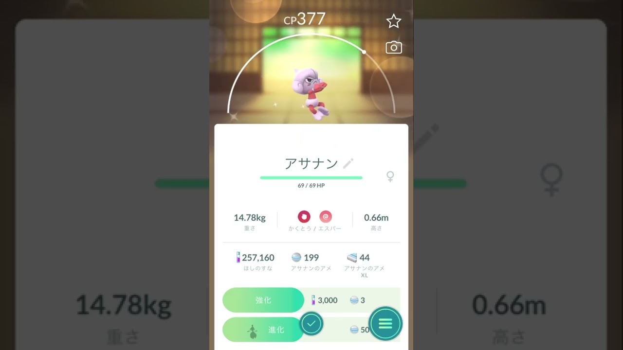 かがやくアサナンの進化✨