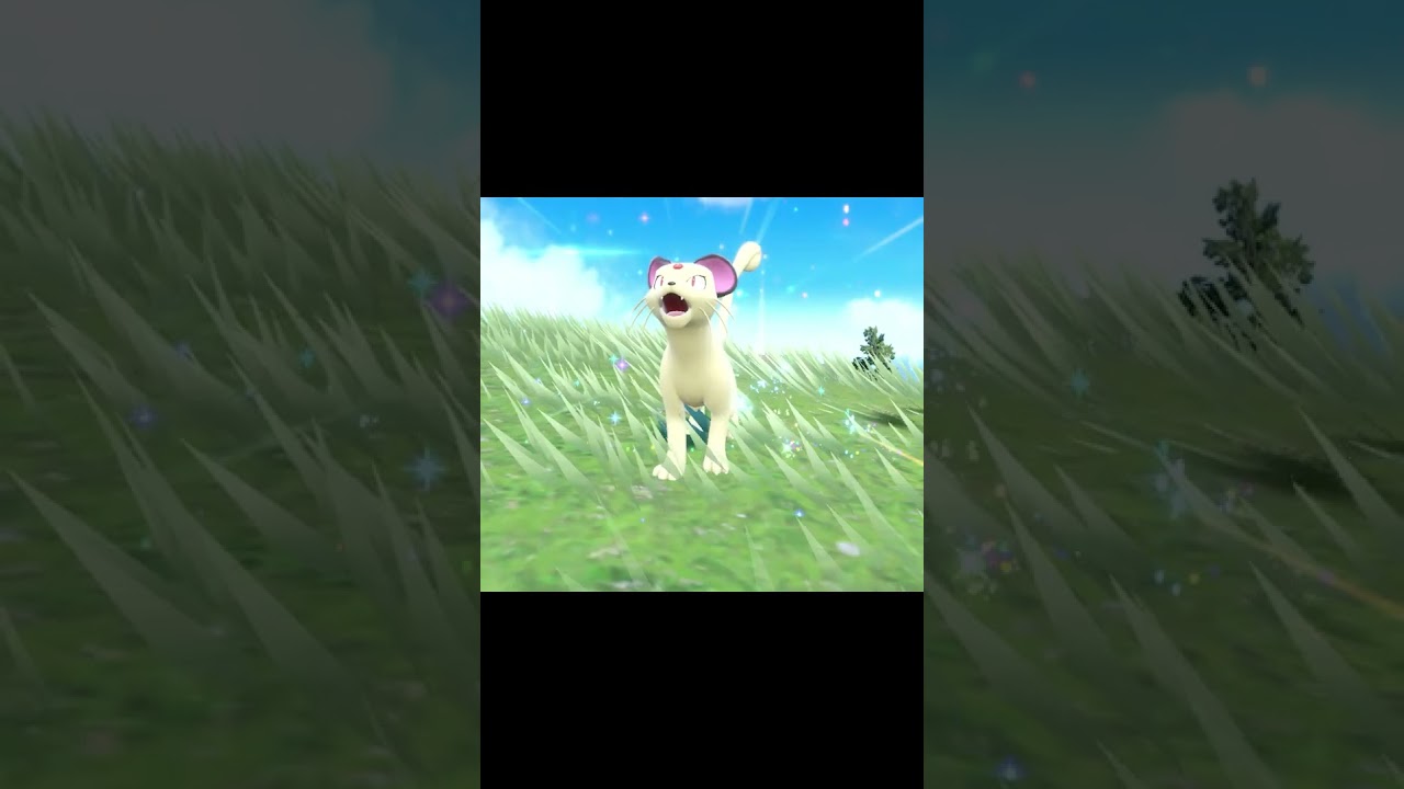 色違いペルシアン Shiny Persian #shorts  #pokemon #ポケモン #ポケモンsv