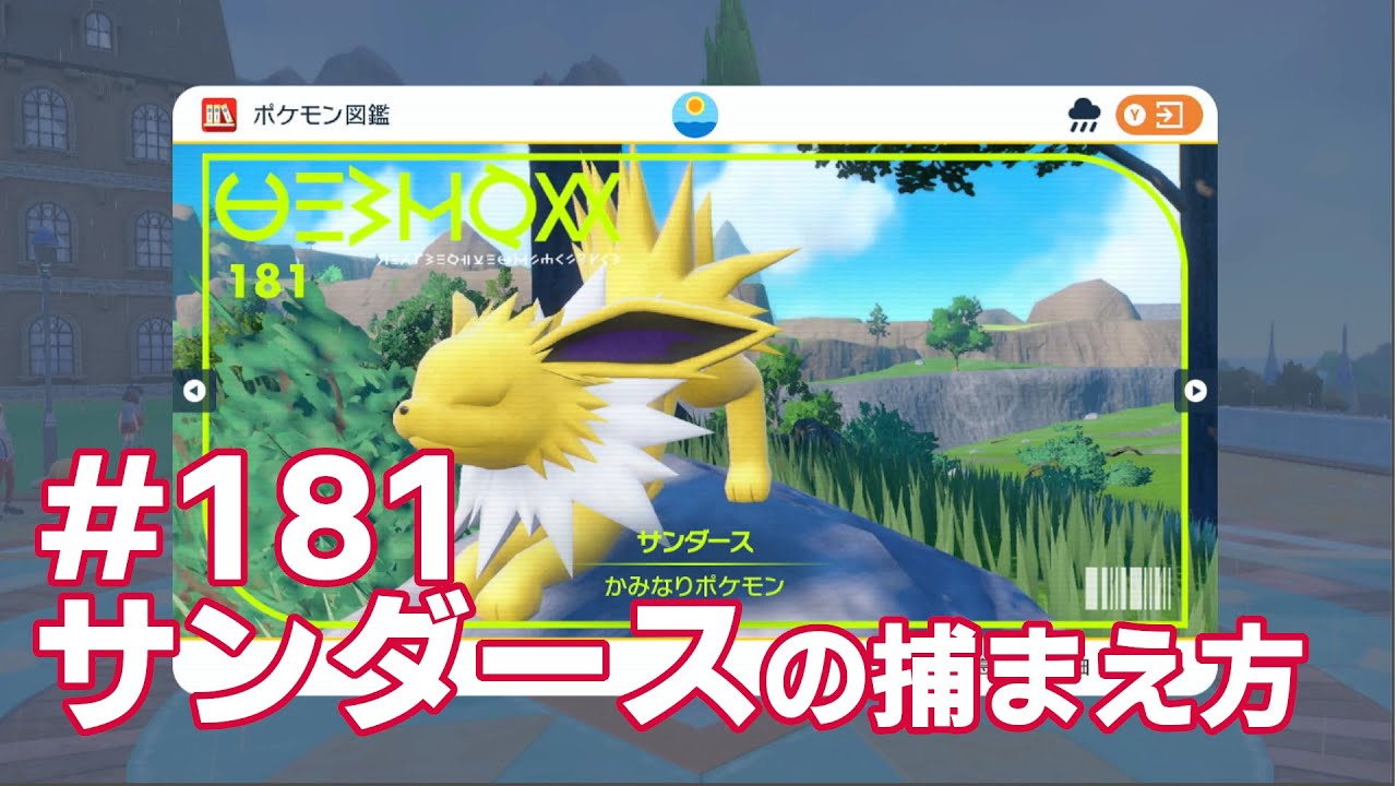 サンダースを探している方に見てほしい動画
