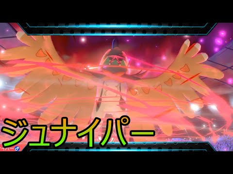 ガオガエン、アシレーヌに負けるな！ジュナイパーの進むべき道【ポケモン剣盾】