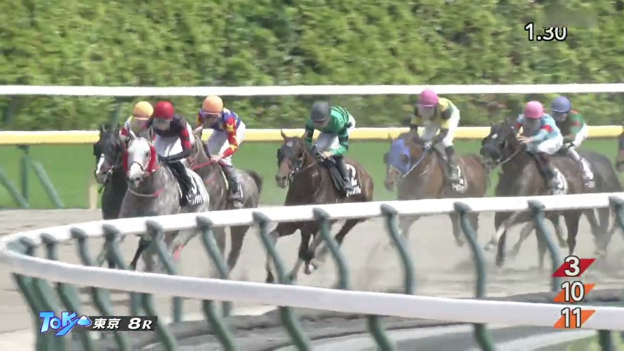 2023 05 21 東京8R 是政特別 ホウオウフウジン(坂井瑠星)