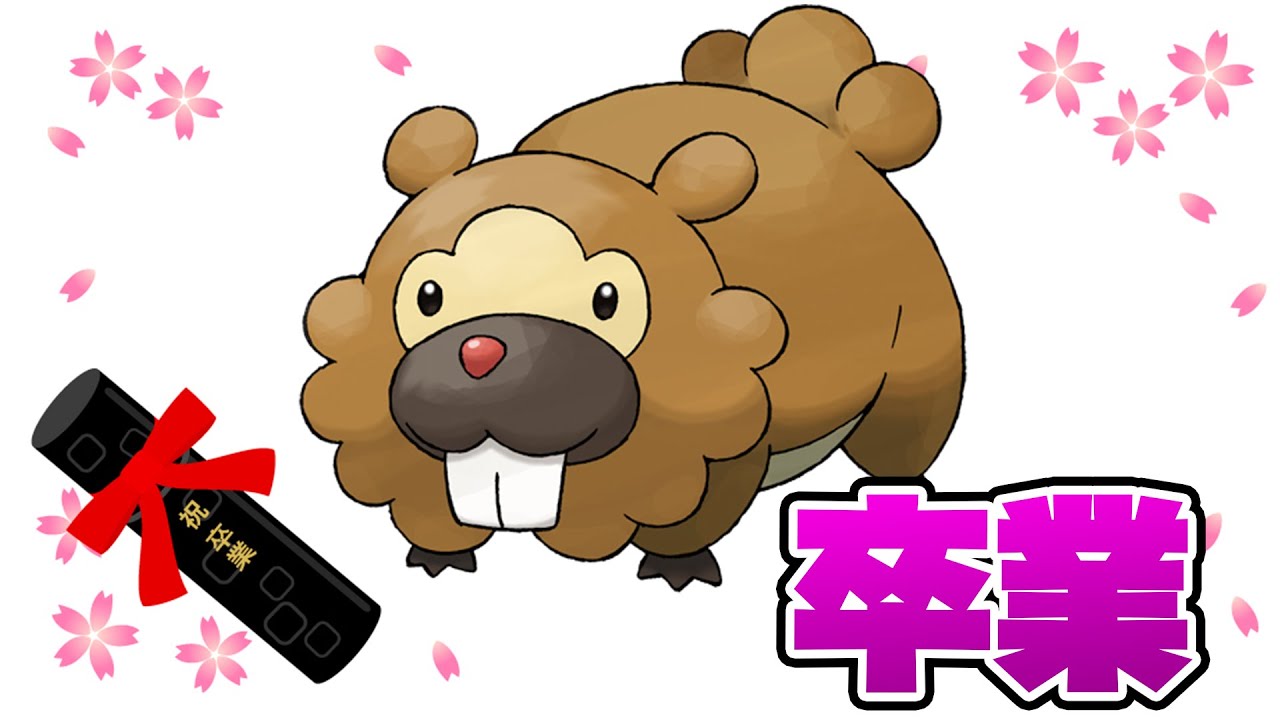 【BDSP】ビッパ（ビーダル）卒業致しました！【ブリリアントダイヤモンド/シャイニングパール】