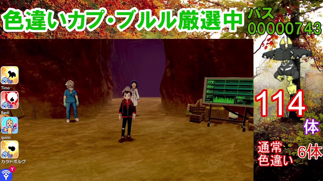 【ポケモン剣盾】カプ・ブルル色違い以外の色違いが出たら即配布！カプ・ブルル色厳選【ダイマックスアドベンチャー】