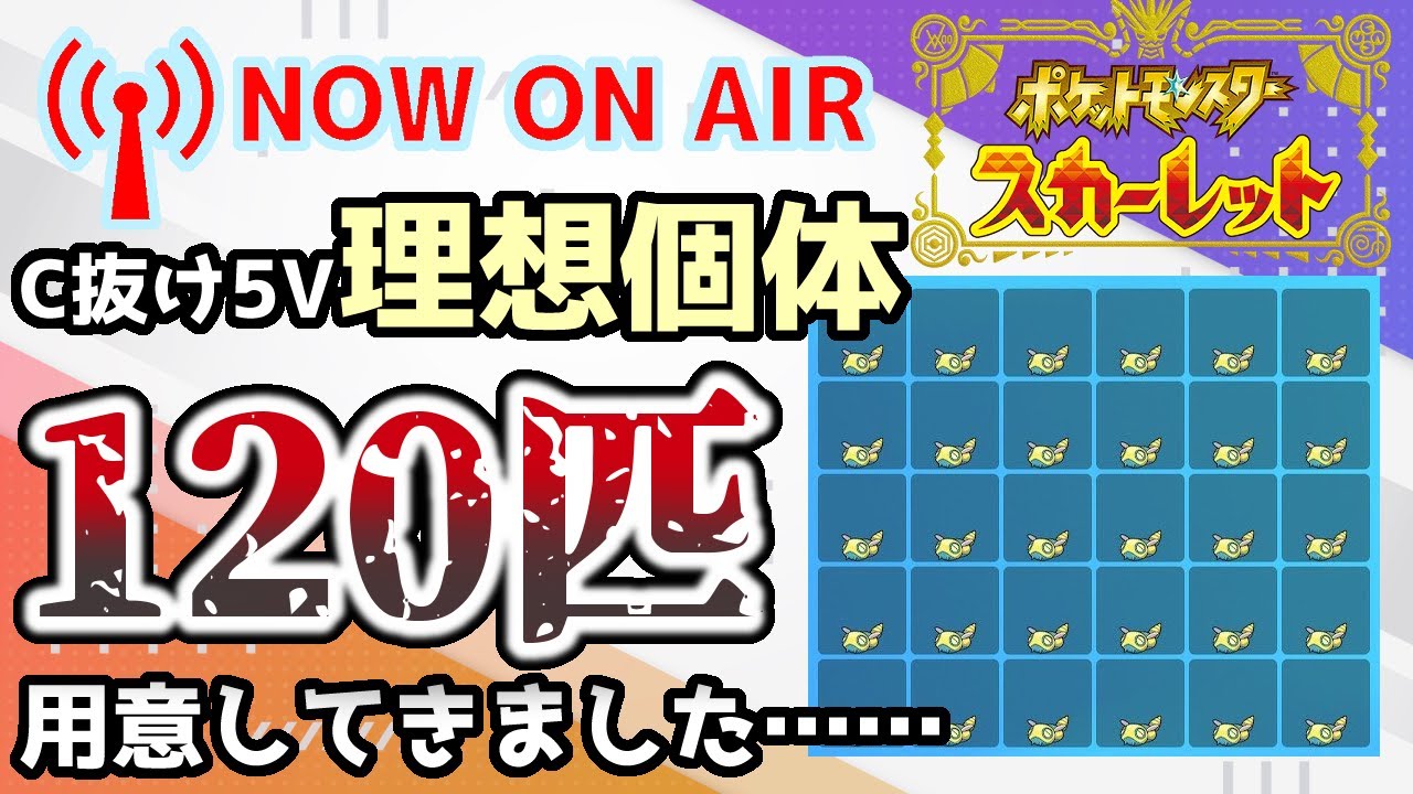 【生配信】【ポケモンSV】みつふしノココッチでランクバトルに出たい！120匹一気に進化させるぞ！！！