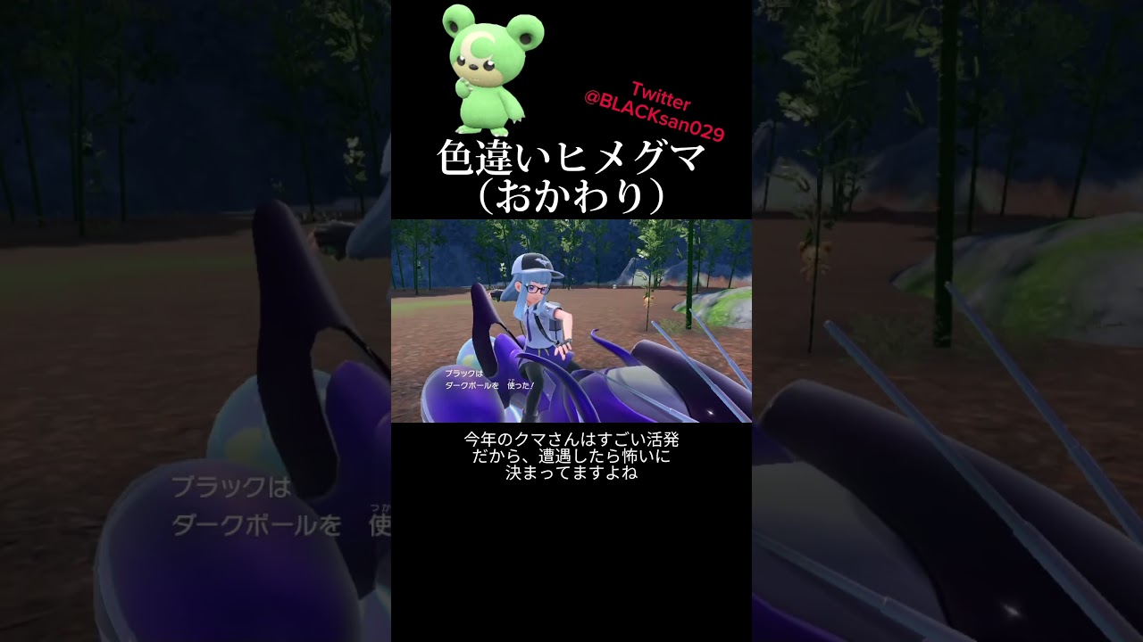 【ポケモンSV】【レジェアル】色違いガチグマを求めて〜 #ポケモンsv #レジェアル #ポケットモンスター #色違い #色違い厳選 #ヒメグマ #ガチグマ #shorts