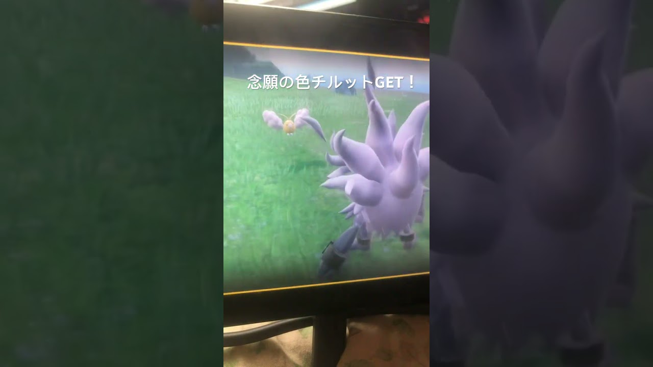 色チルットGET動画✨️