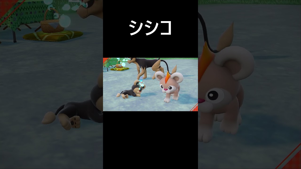 シシコ色違い【ポケモンｓｖ／スカーレット】　#Shorts
