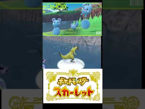 【ポケモンsv】色違いルリリ