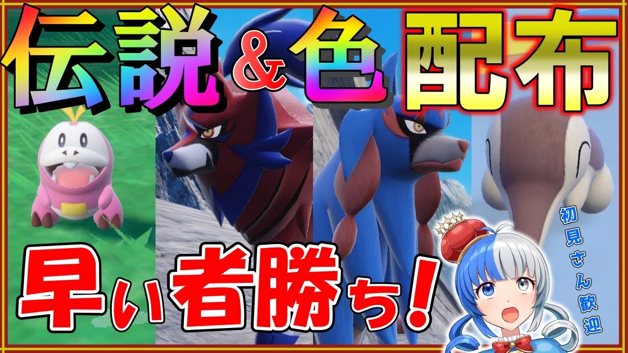 【ポケモンSV】ザシアン＆ザマゼンタ プレゼント！色御三家配布！早い者勝ちで配布します！【#ポケモン配布 #ポケモン交換 】