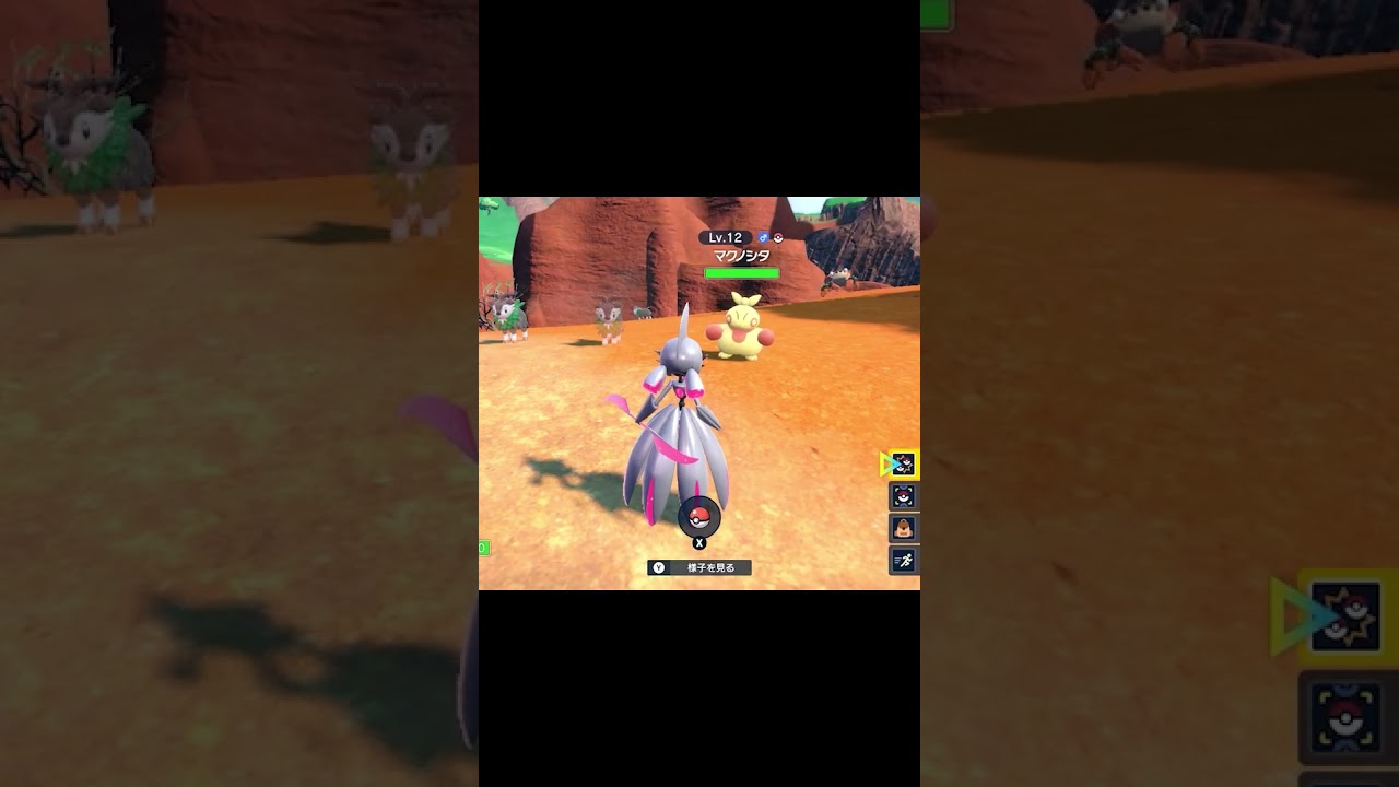 色違いマクノシタ Shiny Makuhita #shorts  #pokemon #ポケモン #ポケモンsv