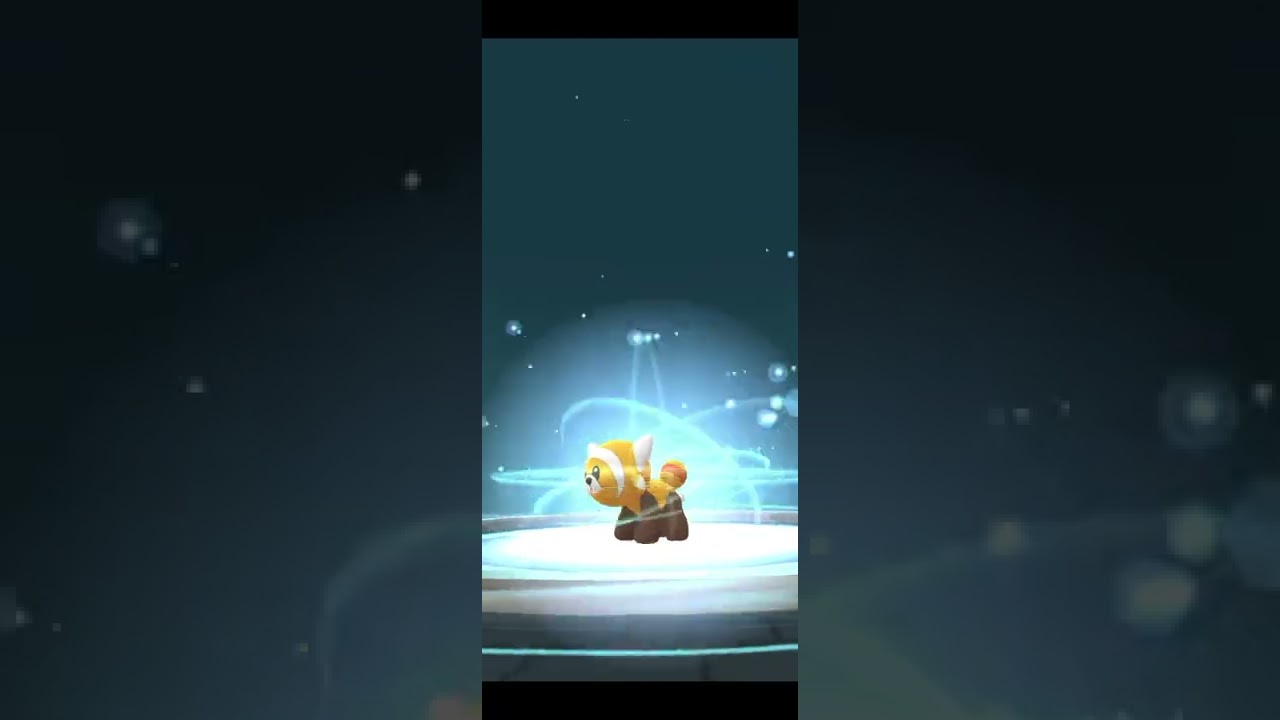 POKEMON SHINY HUNTING | SHINY STUFFUL in POKEMON GO| 色違いヌイコグマ【ポケモンGO】