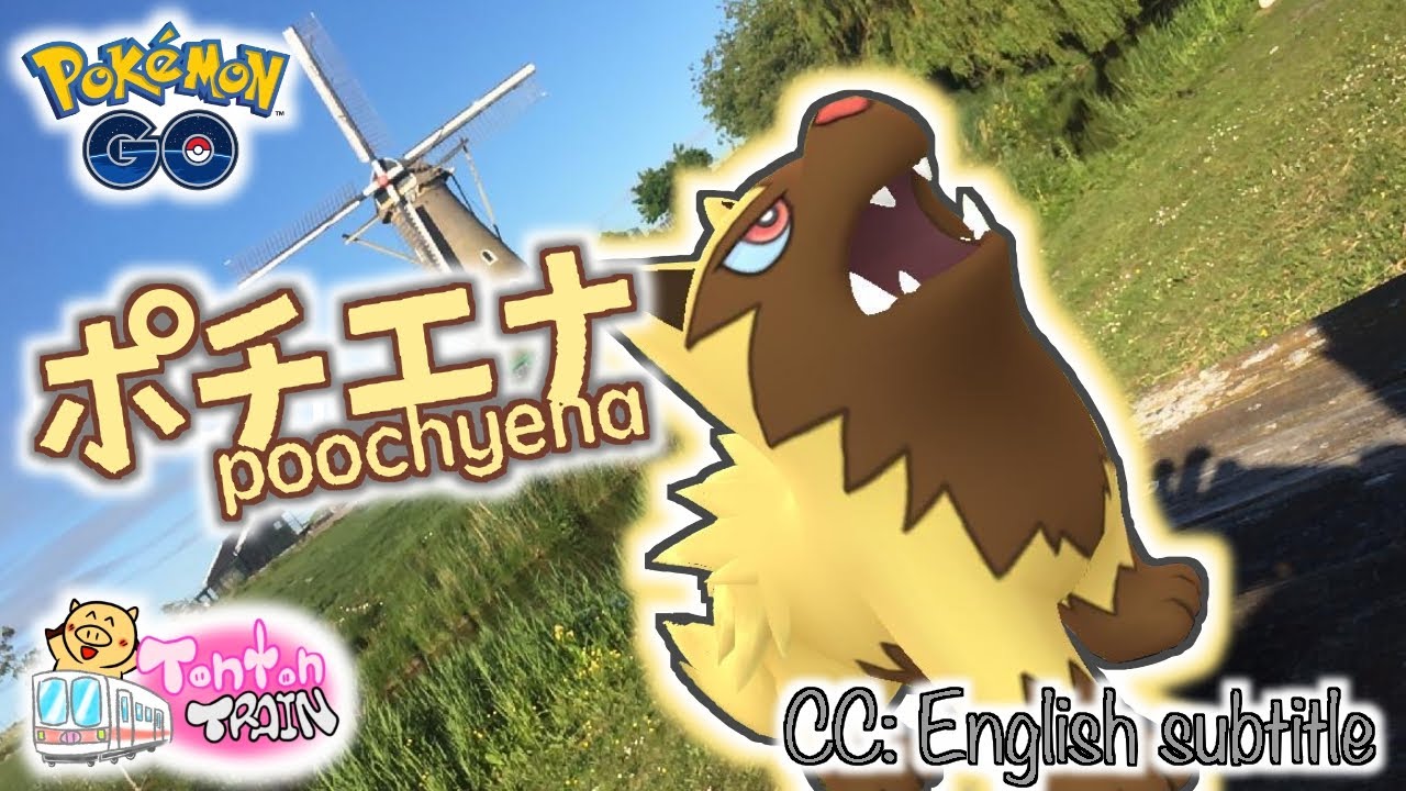 【オランダでポケモンGO】スポットライトアワーでポチエナ散歩！野犬に囲まれた！【トントントレイン】