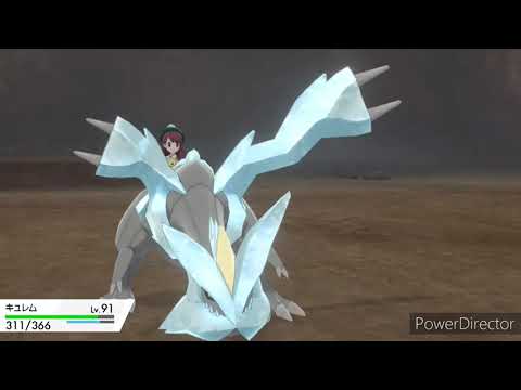 冠の雪原のソニア足跡【伝説ポケモン入手】コバルオン入手💕