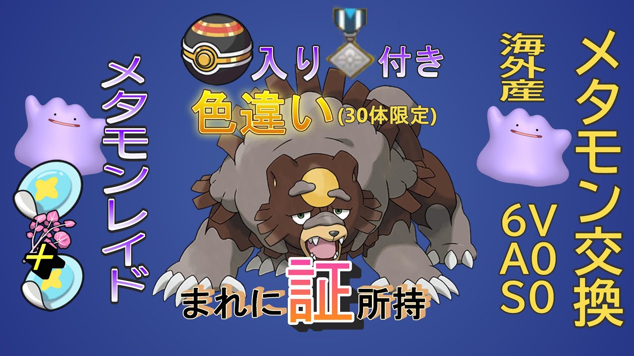 週はじめ 30体限定 色違いガチグマ 配布  パッチとスパイスレイド　海外産 6V S0 A0メタモン配布「Pokémon」「ポケモンSV」 6月19日　配布ライブ
