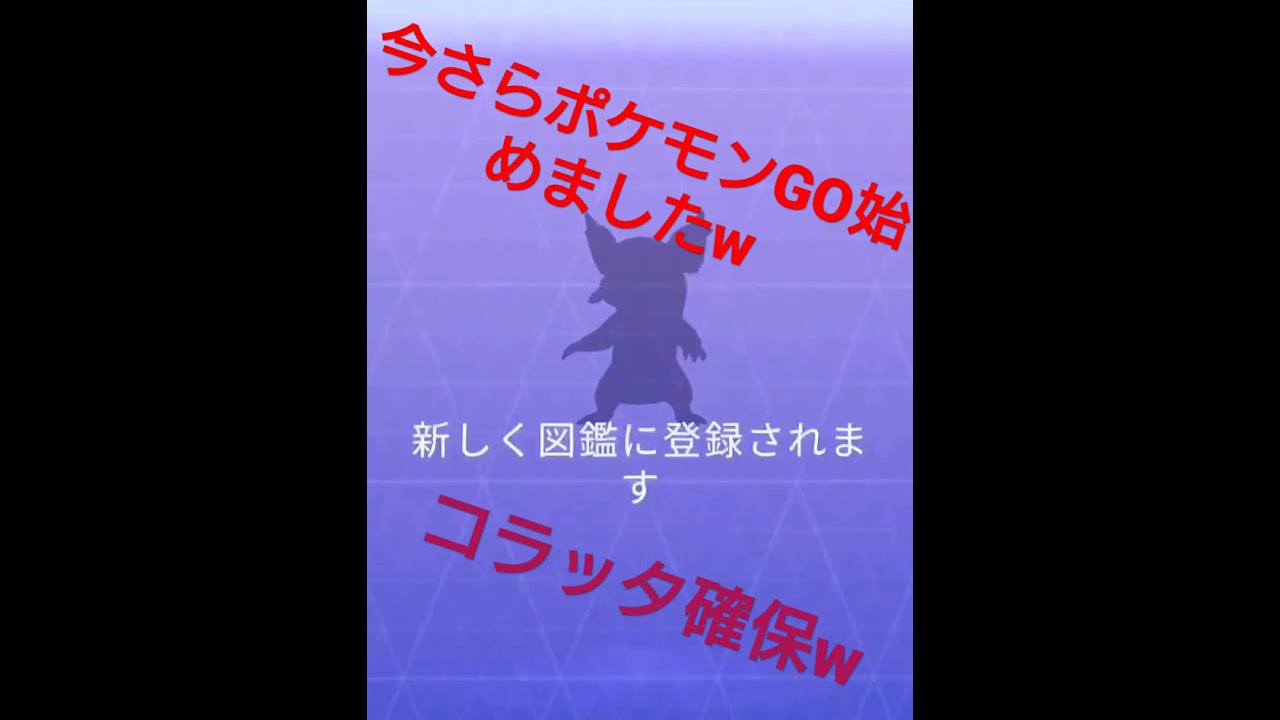 コラッタ確保w