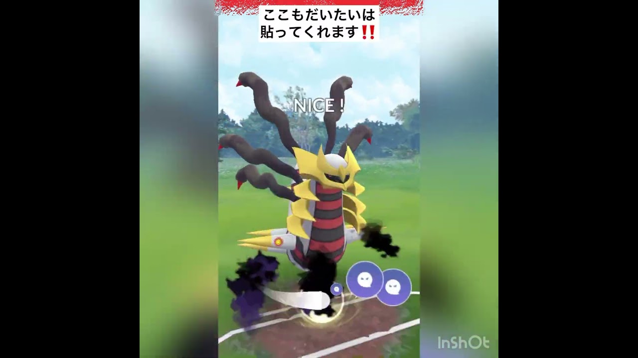 ギラティナVSマンムー
